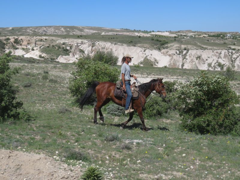 Cappadocia in galopp