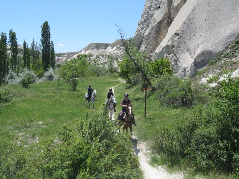 Cappadocia in galopp
