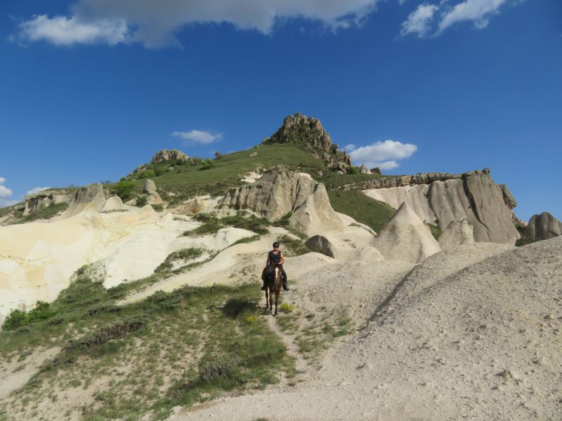 Cappadocia in galopp
