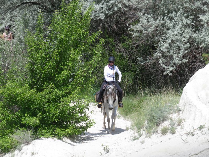 Cappadocia in galopp