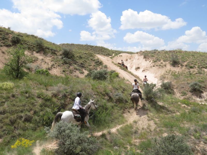 Cappadocia in galopp