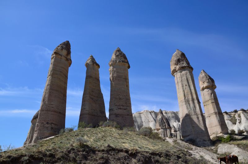 Cappadocia in galopp
