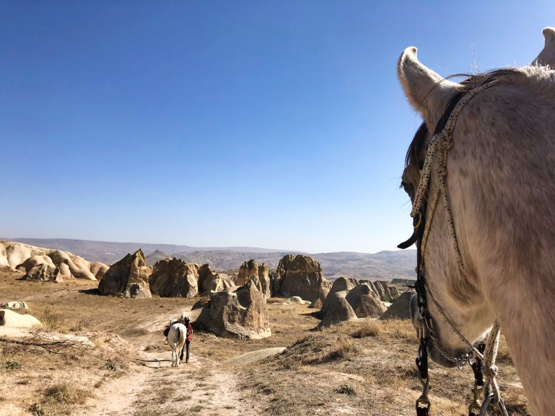 Cappadocia in galopp