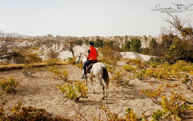 Cappadocia in galopp