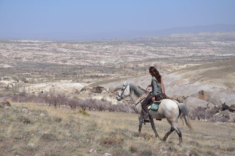 Cappadocia in galopp
