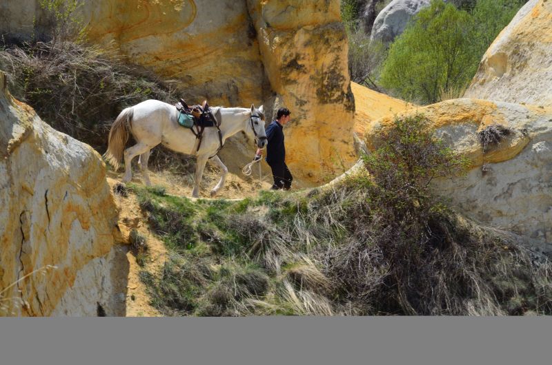 Cappadocia in galopp