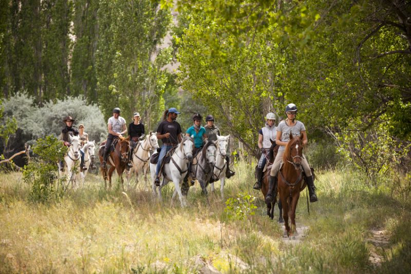 Cappadocia in galopp