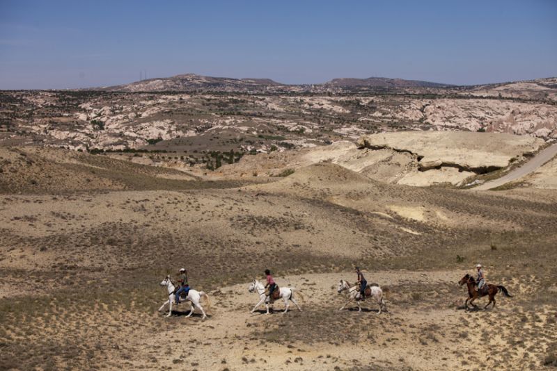 Cappadocia in galopp