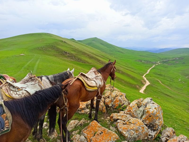 Armenia with comfort