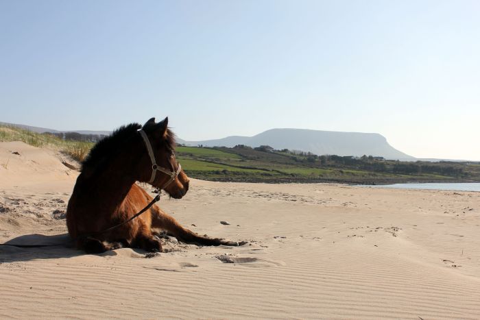 Riding Week by the Atlantic Coast