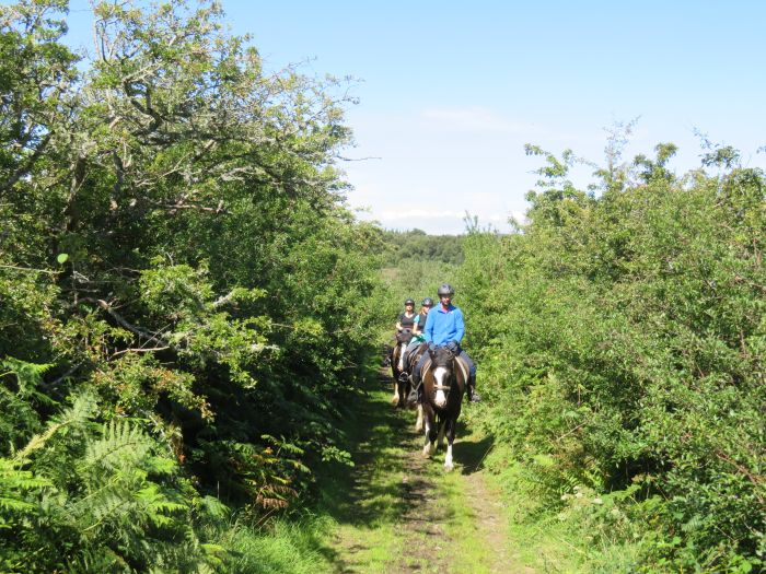 Riding Week by the Atlantic Coast