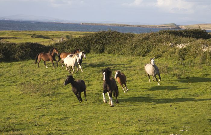 Riding Week by the Atlantic Coast