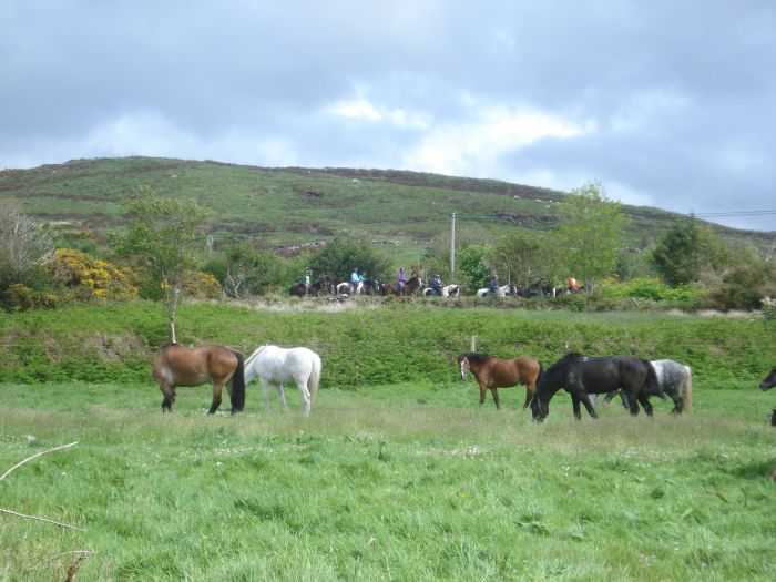 Killarney Reeks Trail