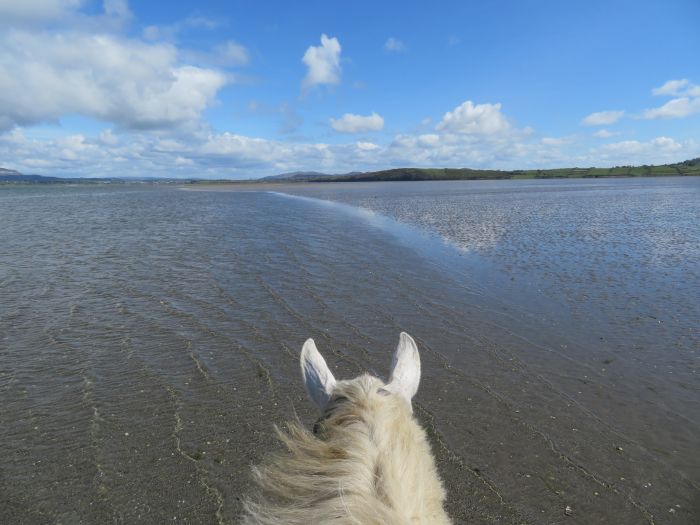 English lessons and Riding for Teenagers
