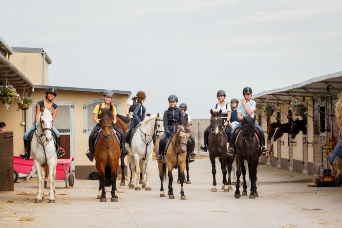 English lessons and Riding for Teenagers