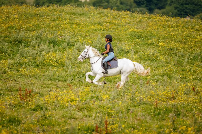 English lessons and Riding for Teenagers