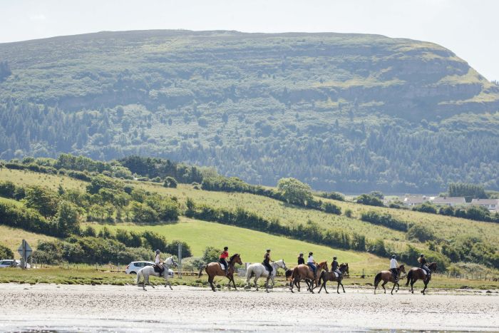 English lessons and Riding for Teenagers