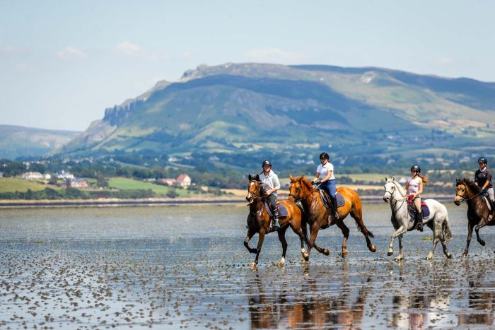 English lessons and Riding for Teenagers