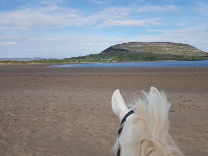 English lessons and Riding for Teenagers