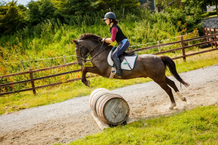 English lessons and Riding for Teenagers