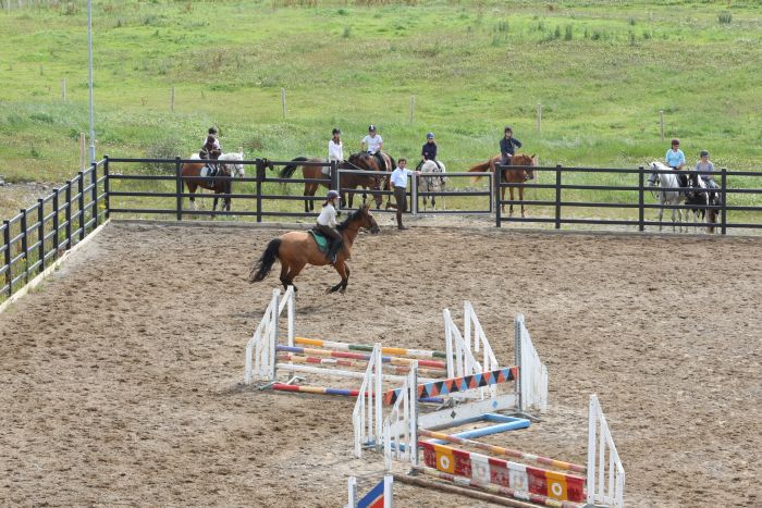 English lessons and Riding for Teenagers