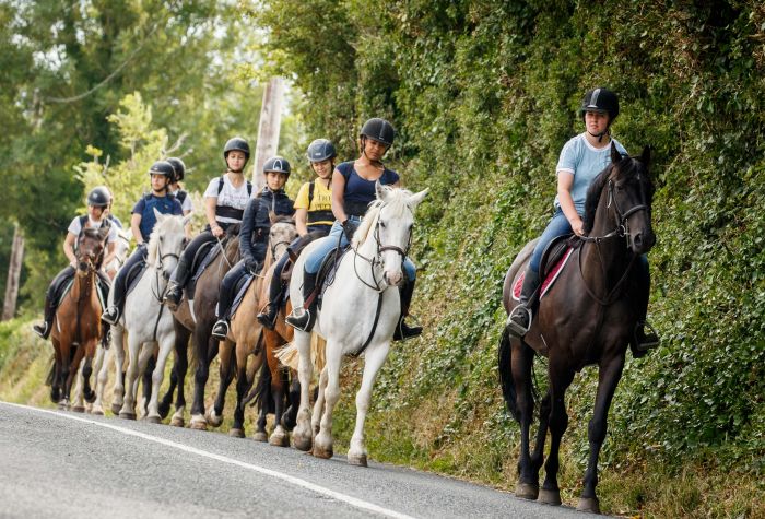 English lessons and Riding for Teenagers