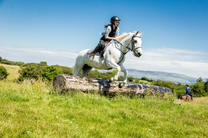 English lessons and Riding for Teenagers