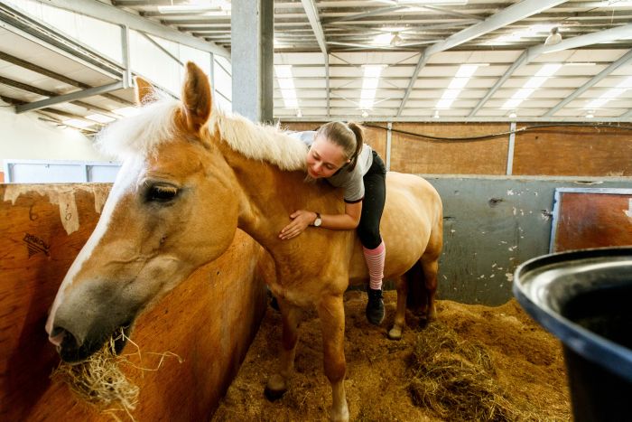 English lessons and Riding for Teenagers