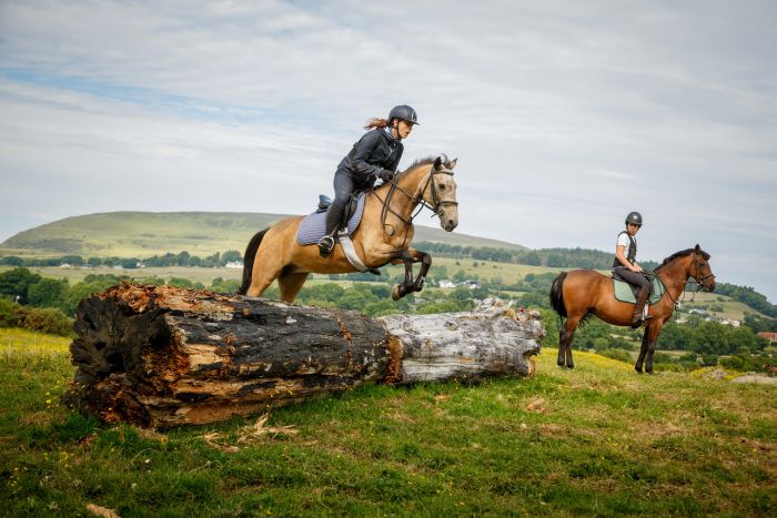 English lessons and Riding for Teenagers