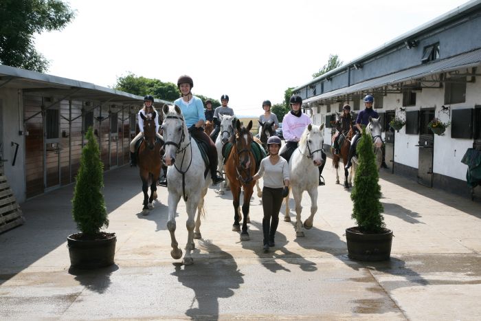 English lessons and Riding for Teenagers