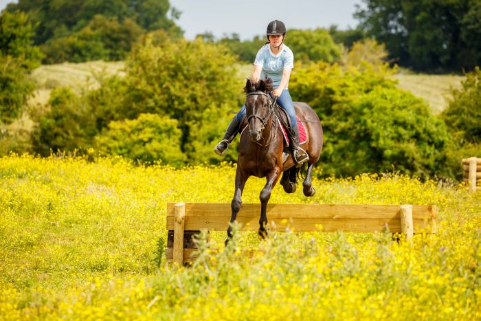 English lessons and Riding for Teenagers