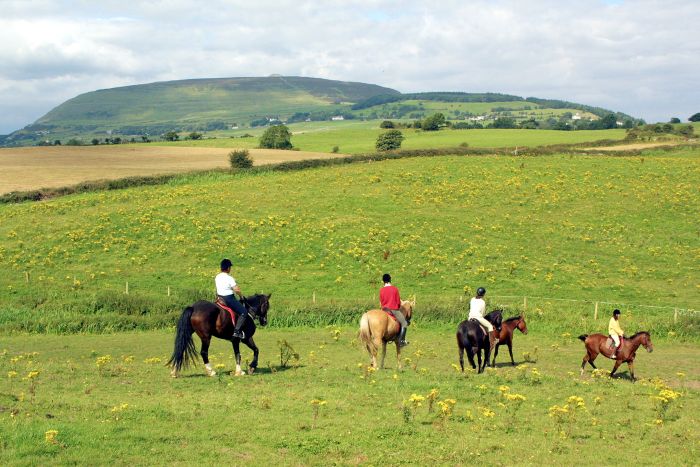 English lessons and Riding for Teenagers