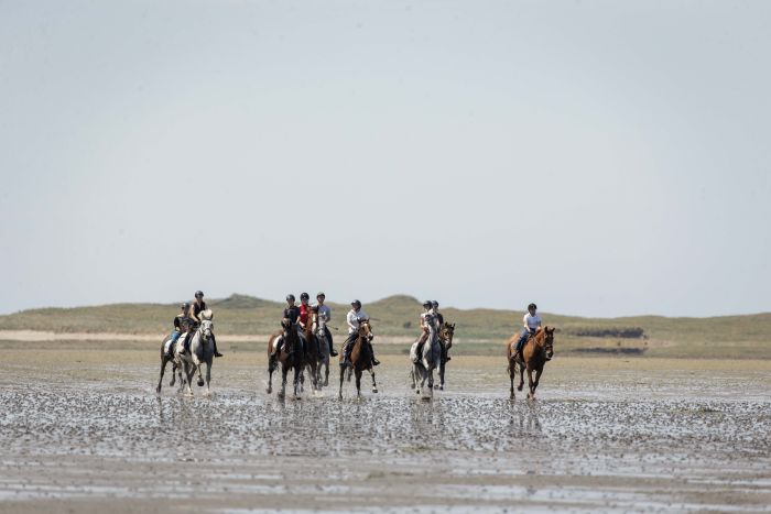 English lessons and Riding for Teenagers