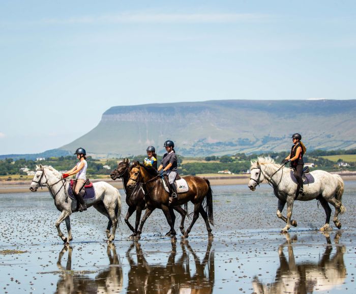 English lessons and Riding for Teenagers