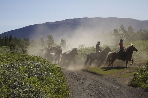 Hekla Wilderness Ride