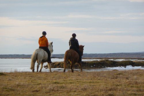 South Iceland Exclusive