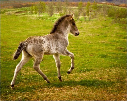 South Iceland Exclusive