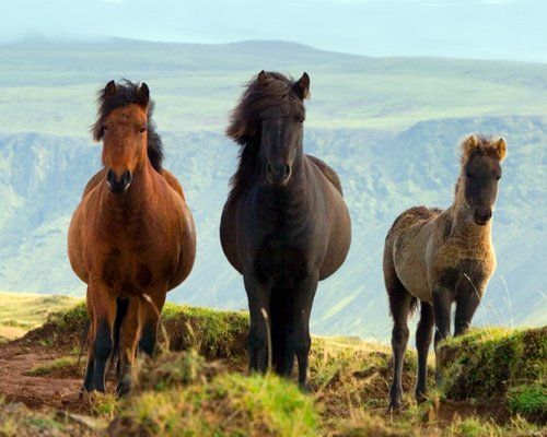 South Iceland Exclusive