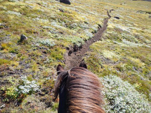 South Iceland Exclusive