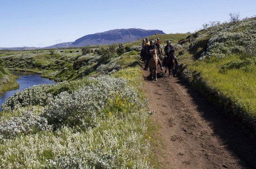 South Iceland Exclusive
