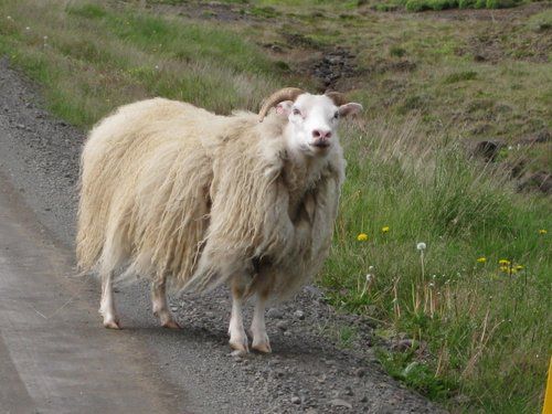 South Iceland Exclusive