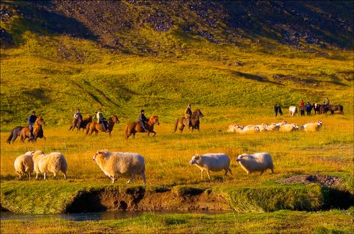 Reiten Island