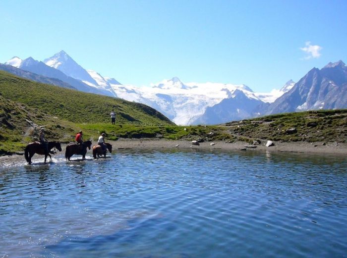 Riding holiday in the Valais Alps