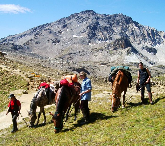 Riding holiday in the Valais Alps
