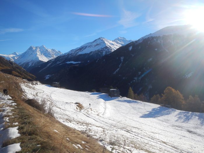 Experience the mountains of the Valais Alps