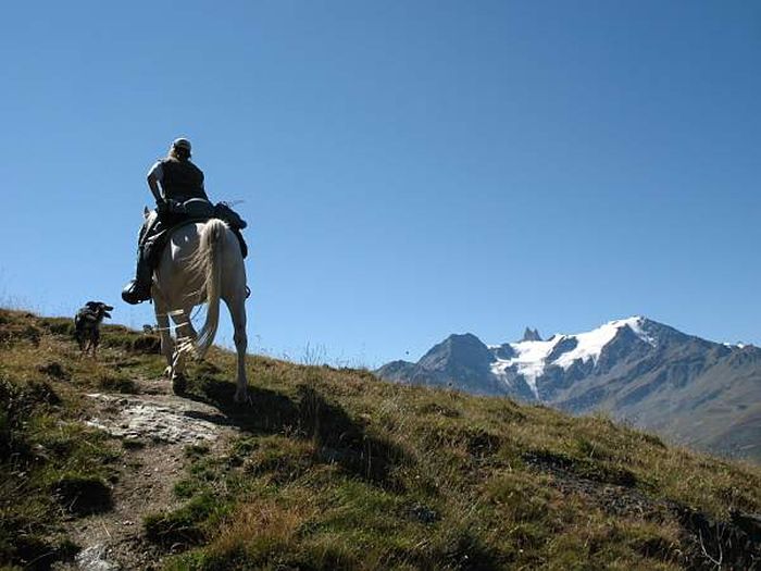 Experience the mountains of the Valais Alps