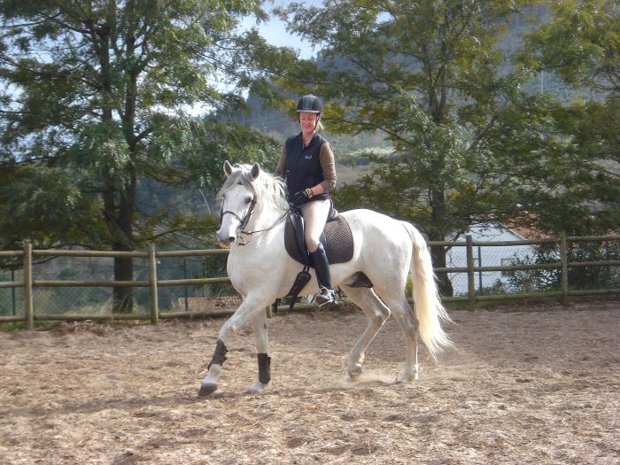 Dressage training with Lusitanos on Alcainca