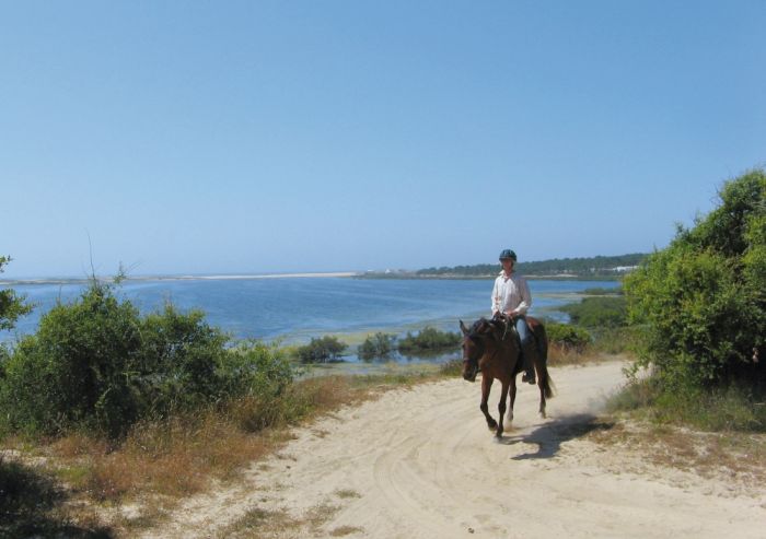 Dolphin Coast Ride