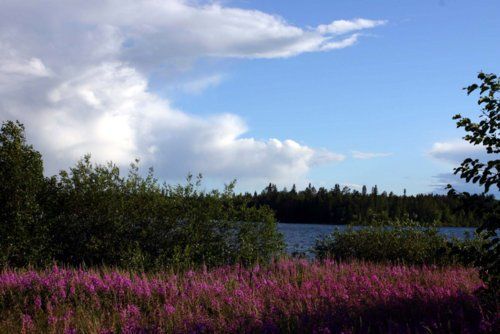 Riding and activity week in the heart of Finland