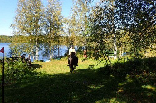 Riding and activity week in the heart of Finland